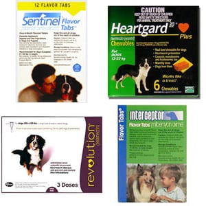 Image of Heartworm Meds