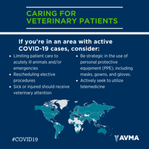 COVID-19 FAQs Infographic
