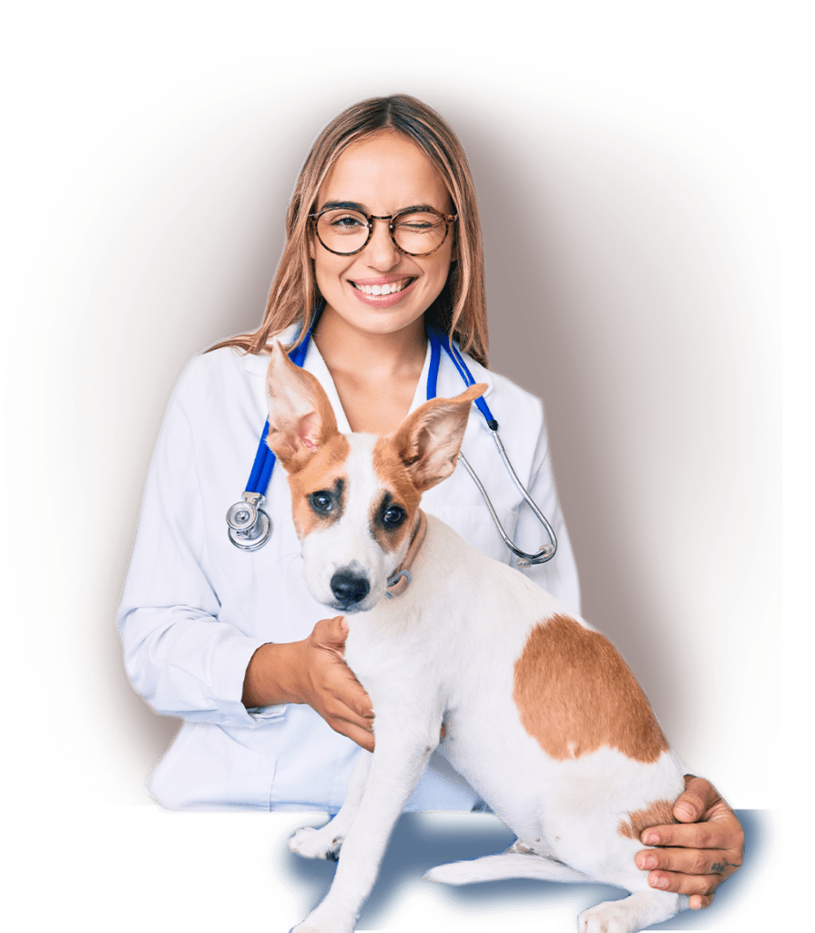 Young beautiful blonde veterinarian woman checking dog health winking