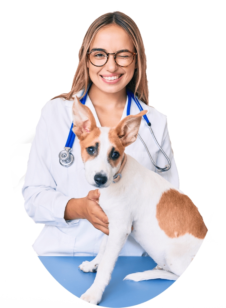 veterinarian woman checking dog health winking